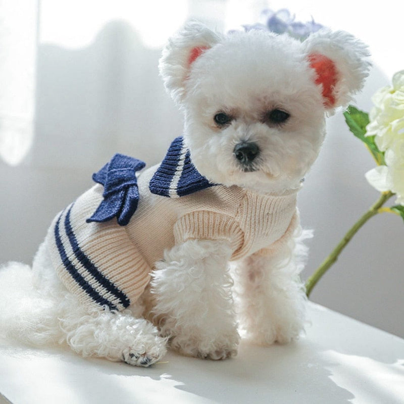 pet sweaters DIVA Pet - "Clea" Small Dog Sweater Dress -The Palm Beach Baby