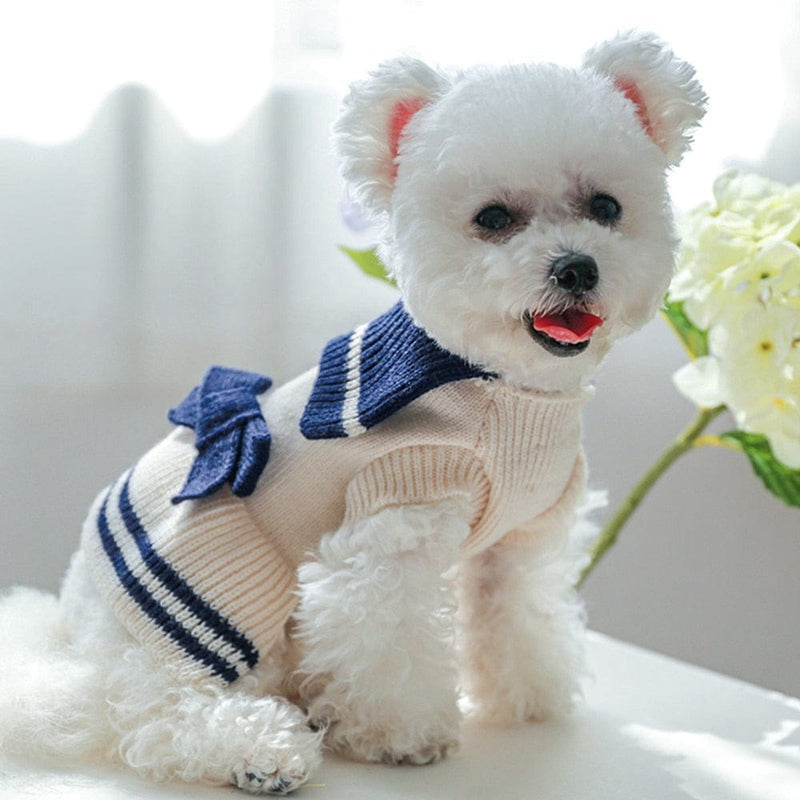 pet sweaters DIVA Pet - "Clea" Small Dog Sweater Dress -The Palm Beach Baby
