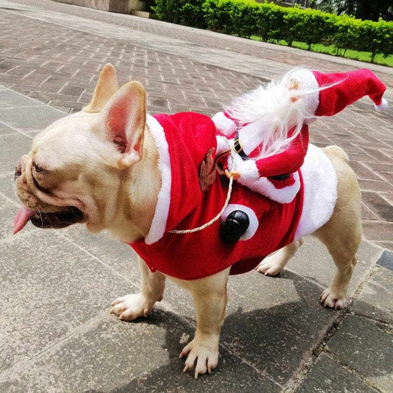 pet clothes Fun Furry Baby Santa Outfit -The Palm Beach Baby
