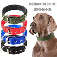 Adjustable Heavy Duty Dog Collar - 3 Trendy Colors - The Palm Beach Baby