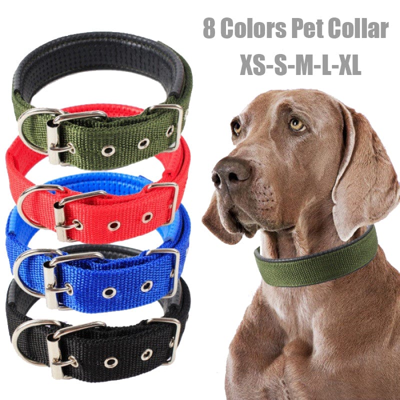 Adjustable Blue and Red Striped Dog Collar -The Palm Beach Baby
