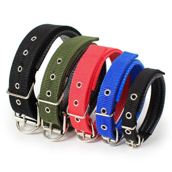 Adjustable Heavy Duty Dog Collar - 3 Trendy Colors - The Palm Beach Baby