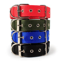 Adjustable Heavy Duty Dog Collar - 3 Trendy Colors - The Palm Beach Baby