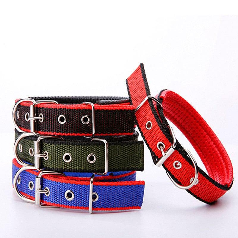 Adjustable Heavy Duty Dog Collar - 3 Trendy Colors - The Palm Beach Baby