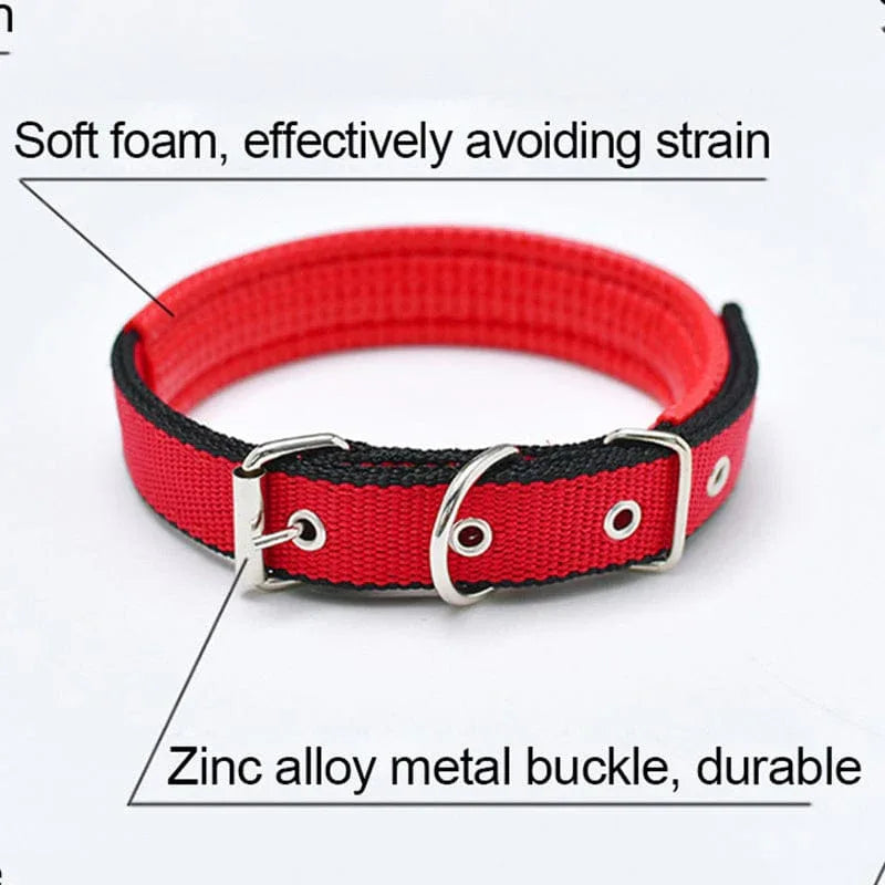 Adjustable Heavy Duty Dog Collar - 3 Trendy Colors - The Palm Beach Baby