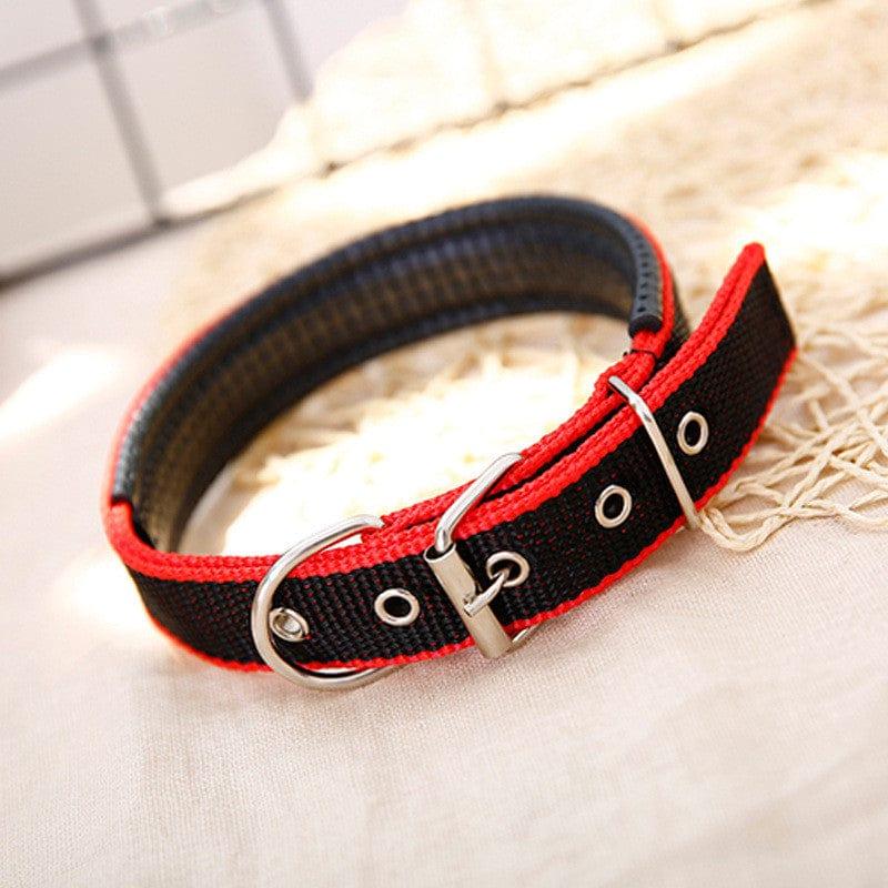 Adjustable Heavy Duty Dog Collar - 3 Trendy Colors - The Palm Beach Baby