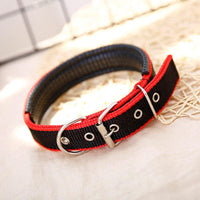 Adjustable Heavy Duty Dog Collar - 3 Trendy Colors - The Palm Beach Baby