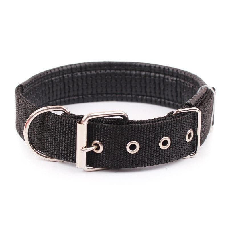 Adjustable Heavy Duty Dog Collar - 3 Trendy Colors - The Palm Beach Baby