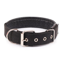 Adjustable Heavy Duty Dog Collar - 3 Trendy Colors - The Palm Beach Baby