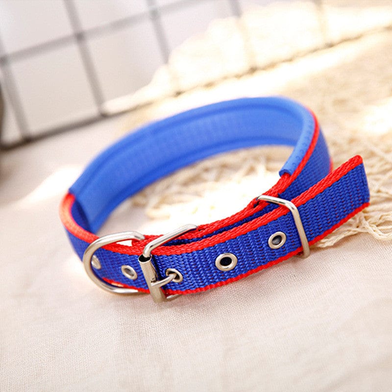 Blue-Red / XL Adjustable Blue and Red Striped Dog Collar -The Palm Beach Baby