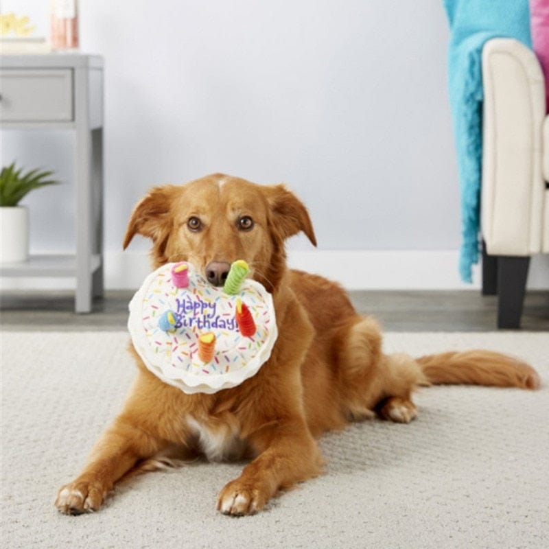 dog toy Adorable Plush Dog's Birthday Toy -The Palm Beach Baby