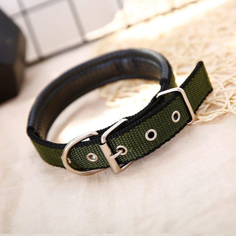Adjustable Heavy Duty Dog Collar - 3 Trendy Colors - The Palm Beach Baby
