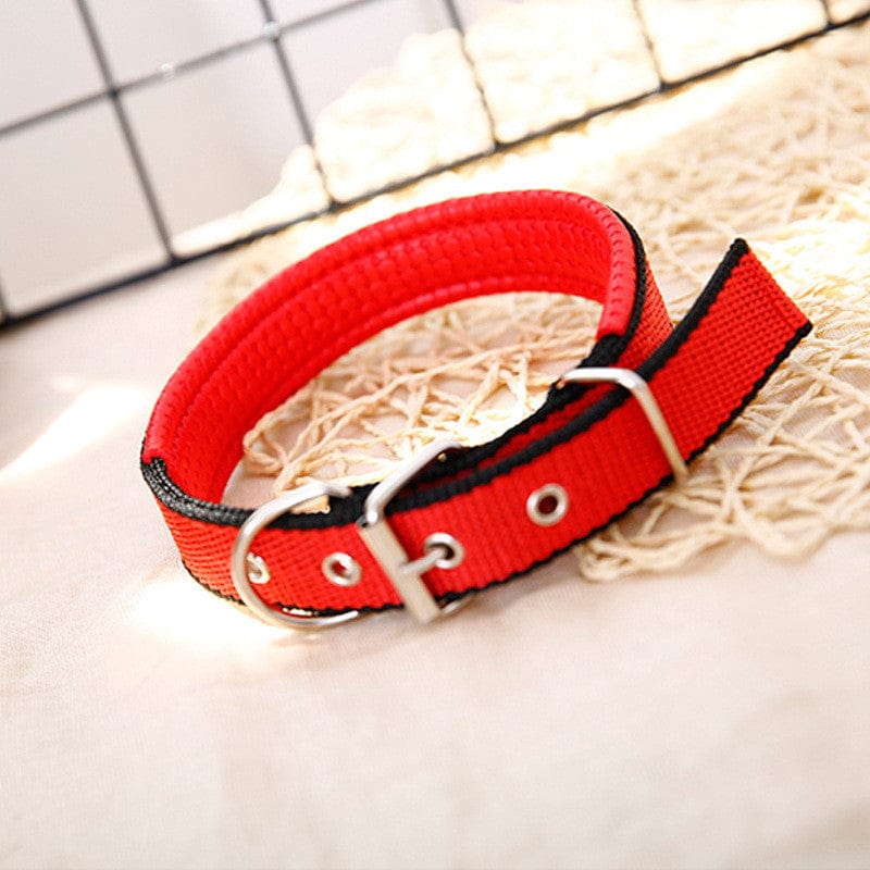 Red-Black / XL Adjustable Blue and Red Striped Dog Collar -The Palm Beach Baby